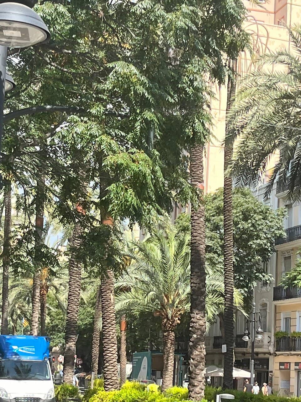 Trendy Cafes & Boutiques