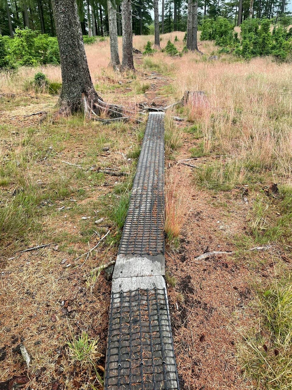 Heather-Covered Hills