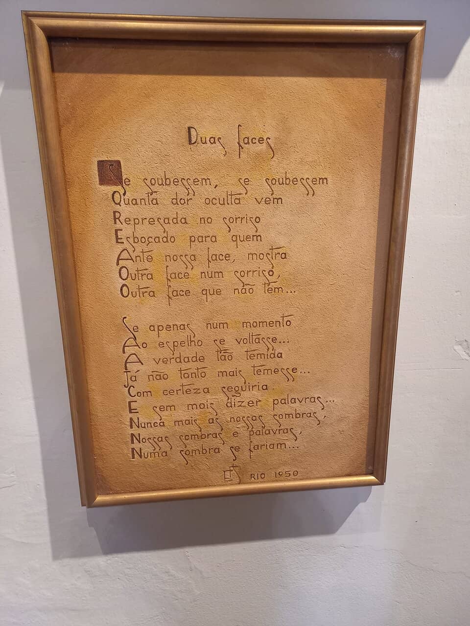 The Beautiful Backyard