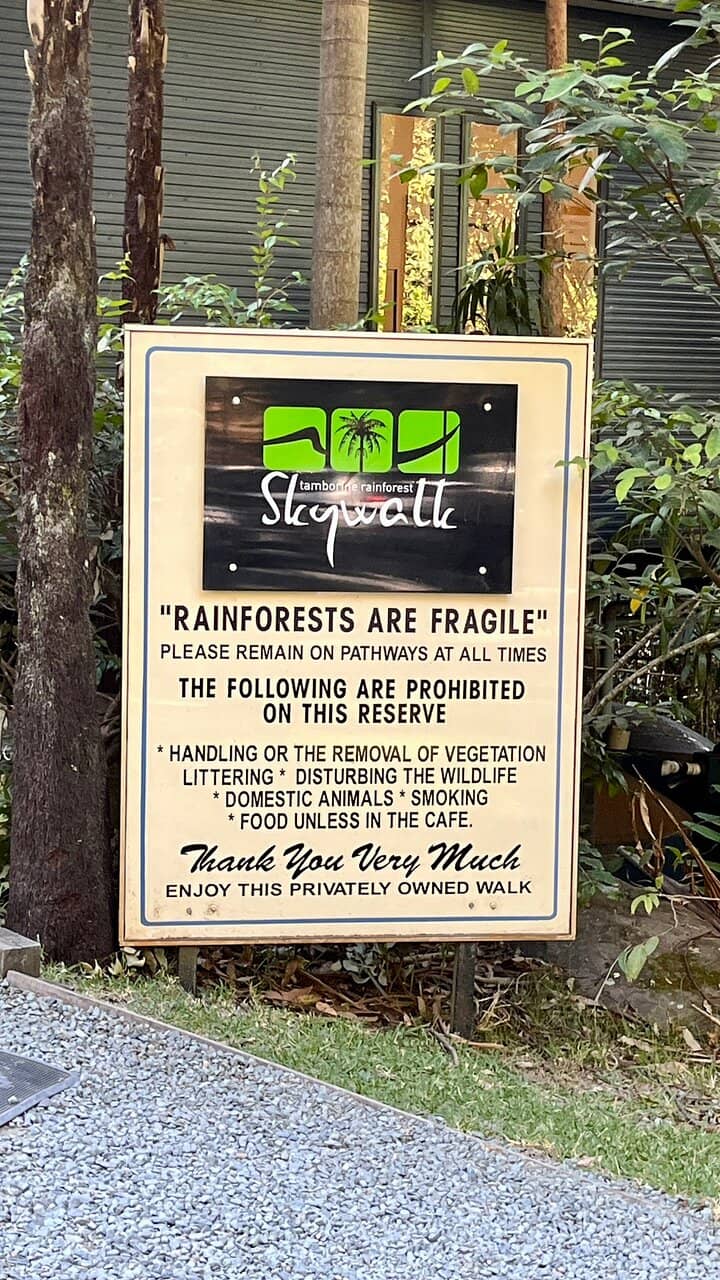 Rainforest Floor Trail