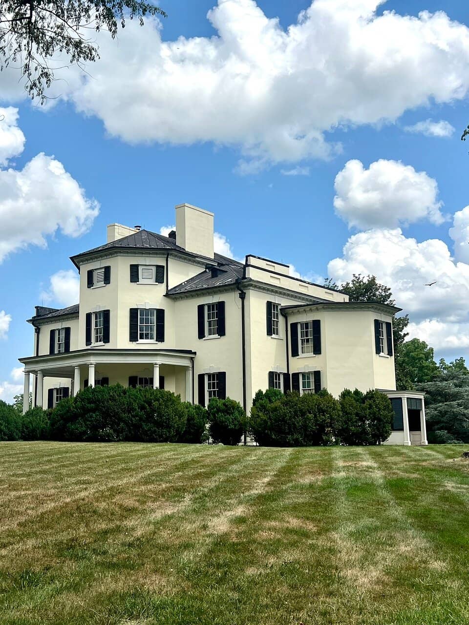 Artistic Inspiration