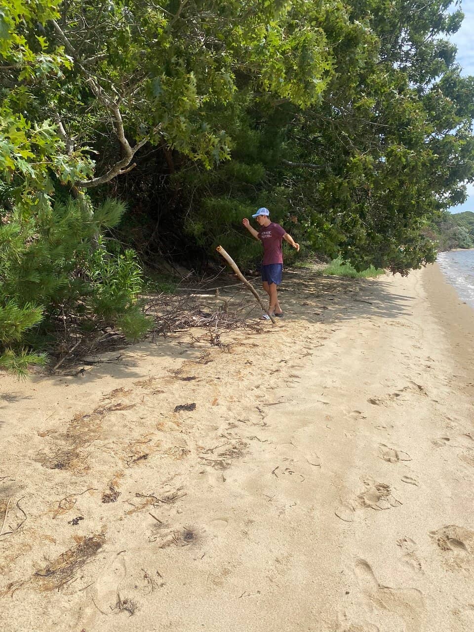 Interactive Exhibits