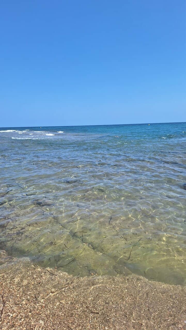 Vertical photo