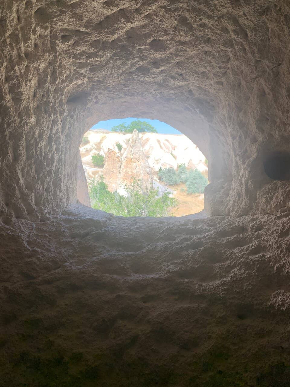 Abundant Marine Life