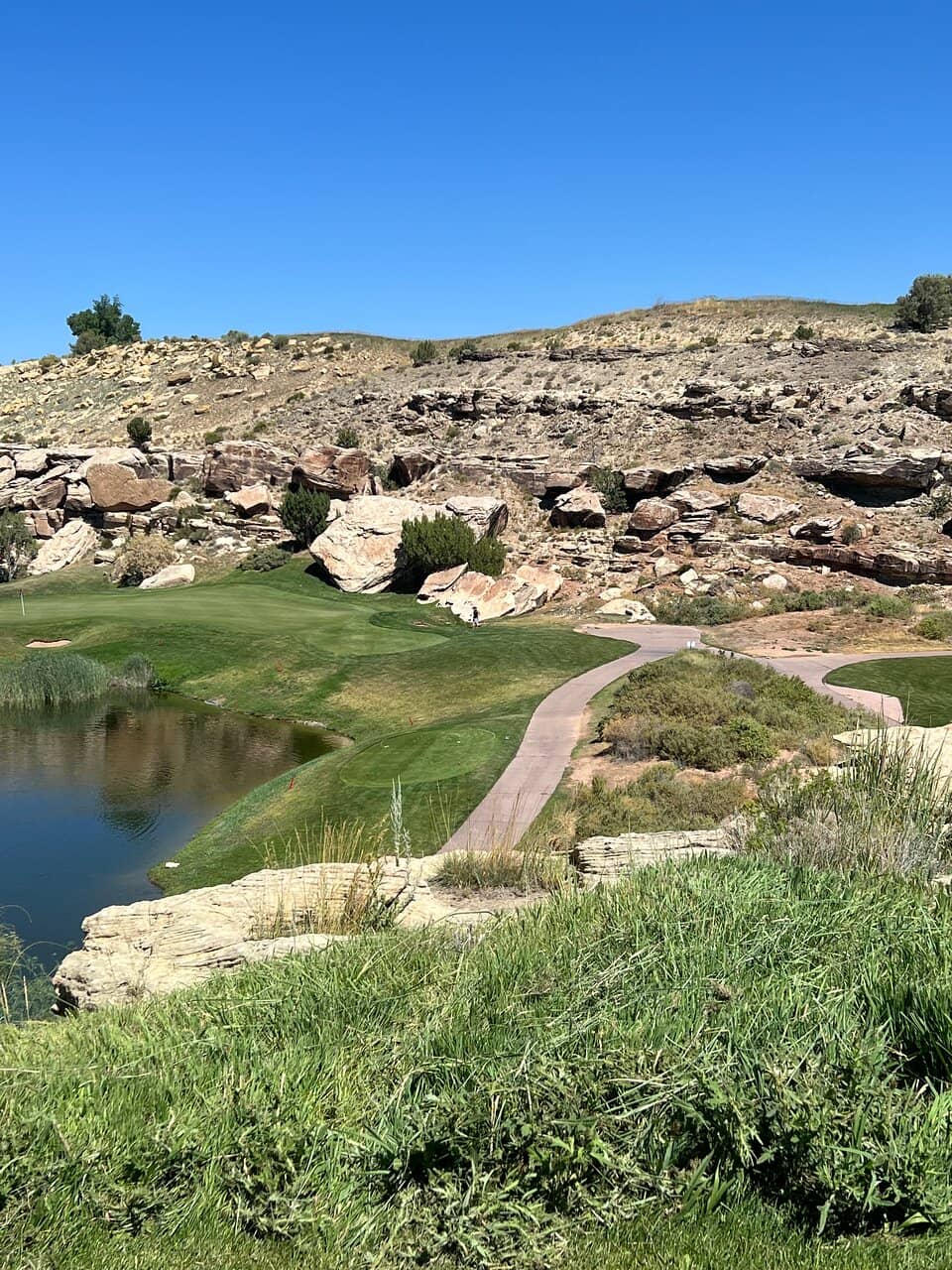 Challenging Championship Layout