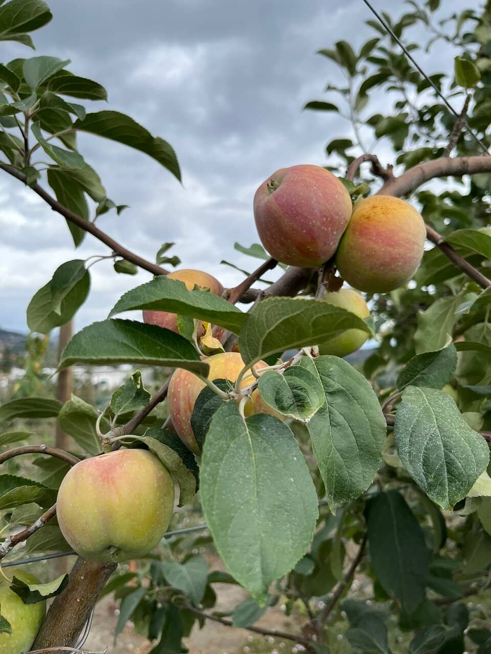 Spacious Outdoor Seating