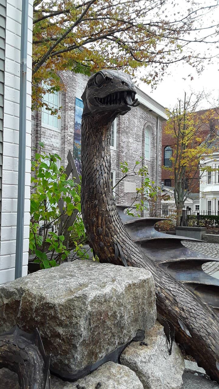 Cyanotype Exhibition