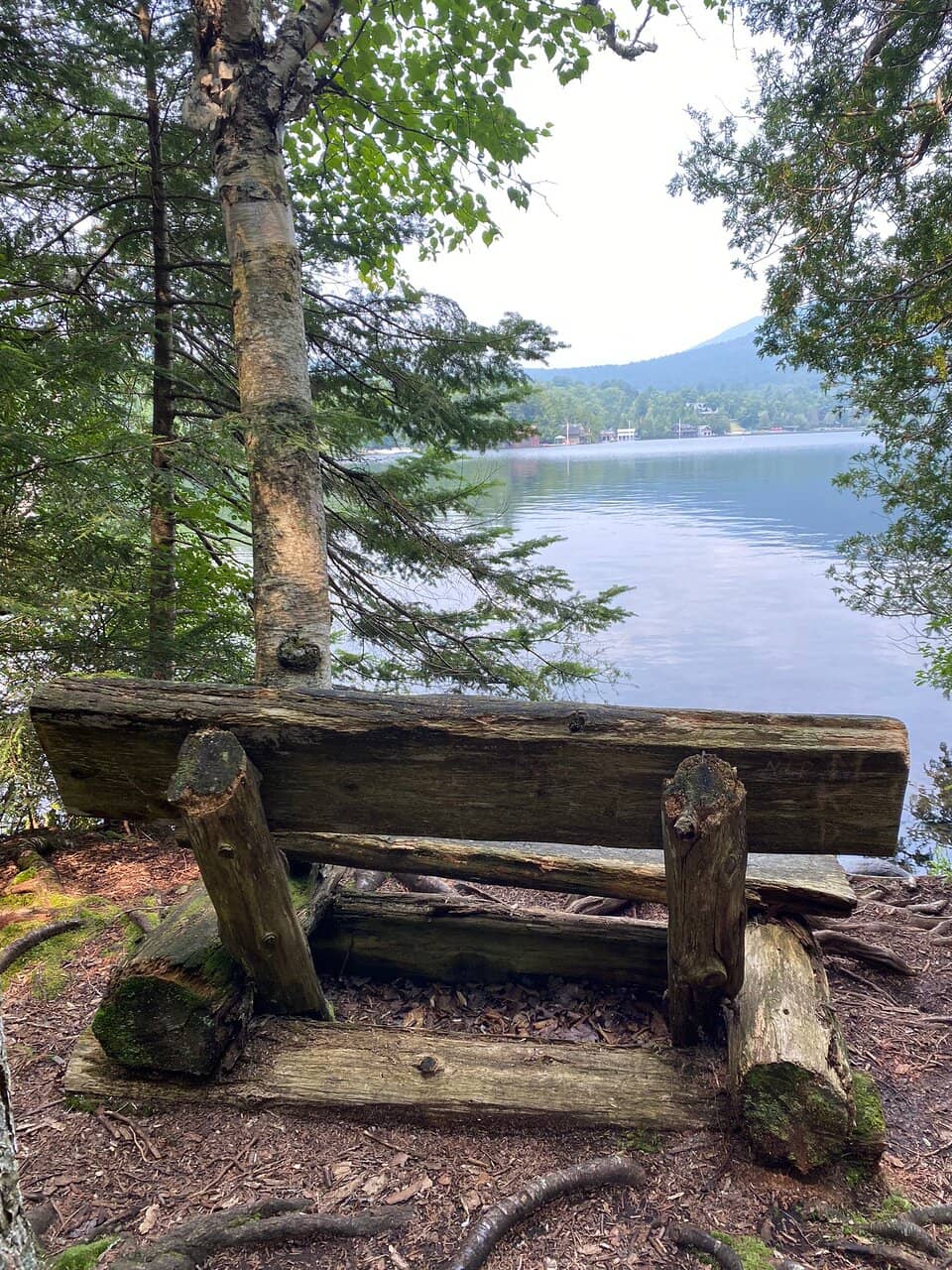 Lake Placid Views
