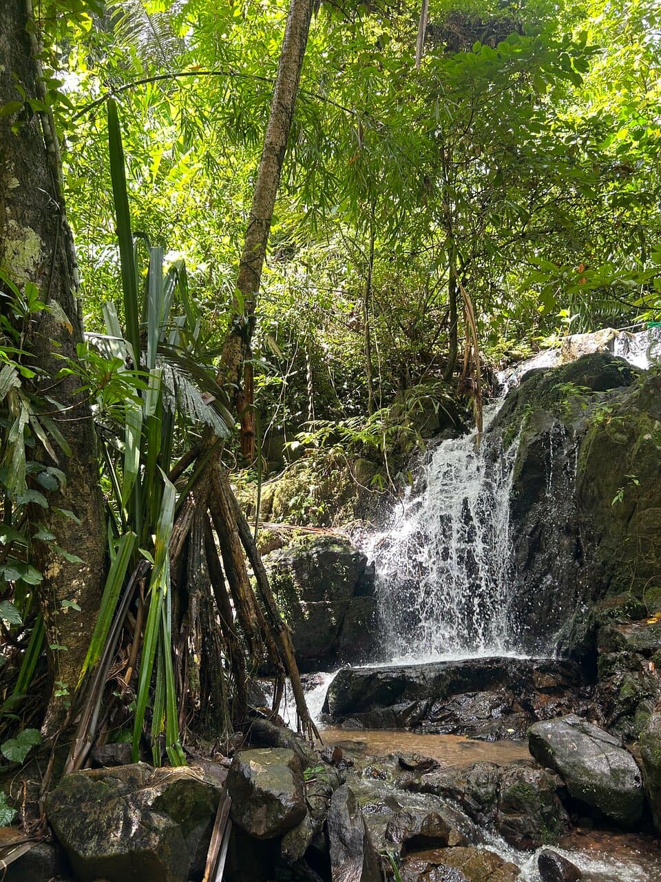 Ton Sai Waterfall Phuket