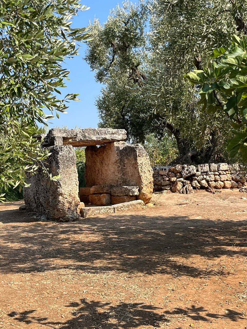 Panoramic Viewpoint