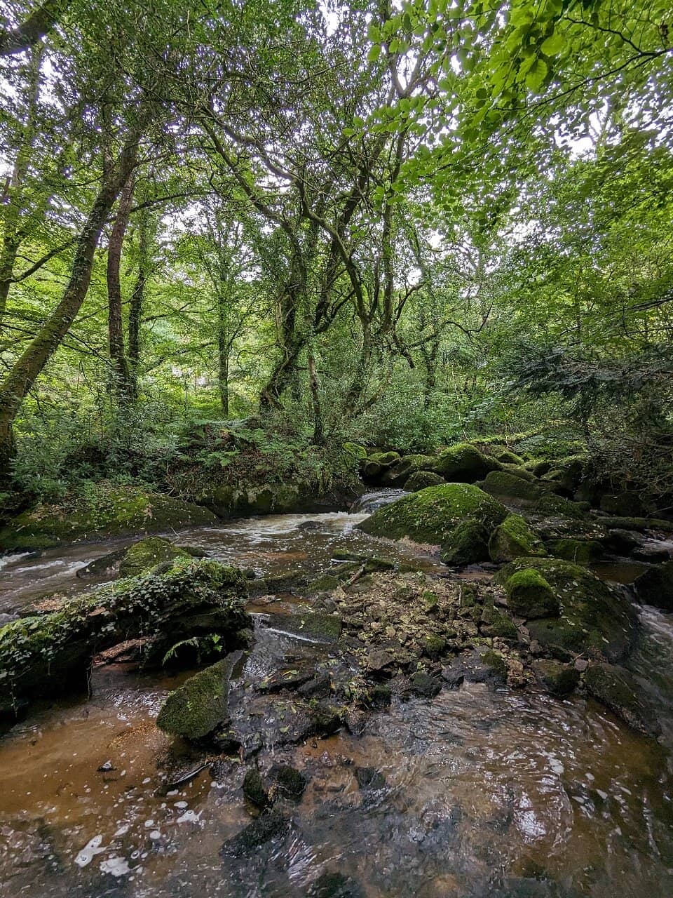 Luxulyan Valley Walk