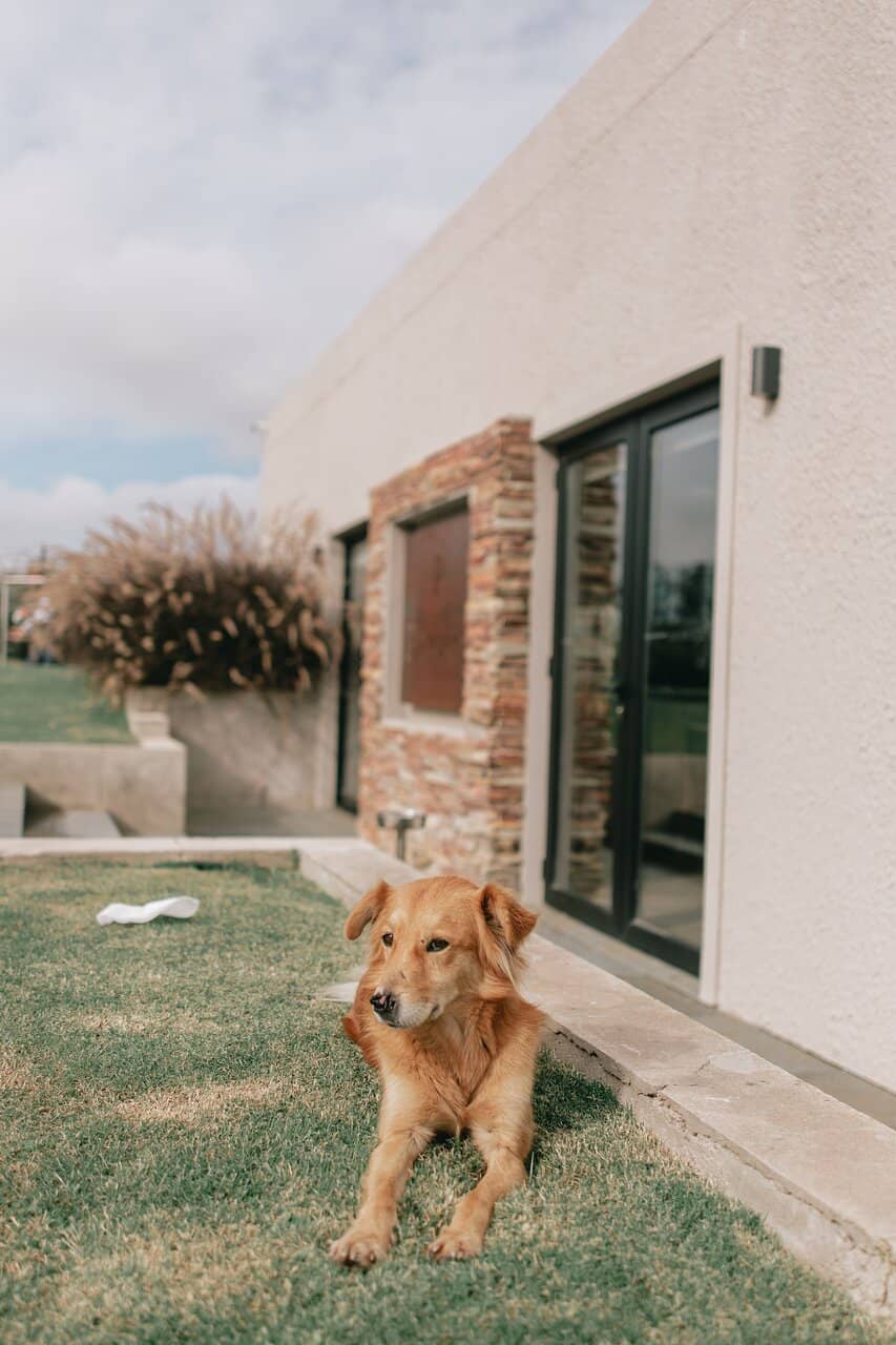 Pizzorno Winery Experience