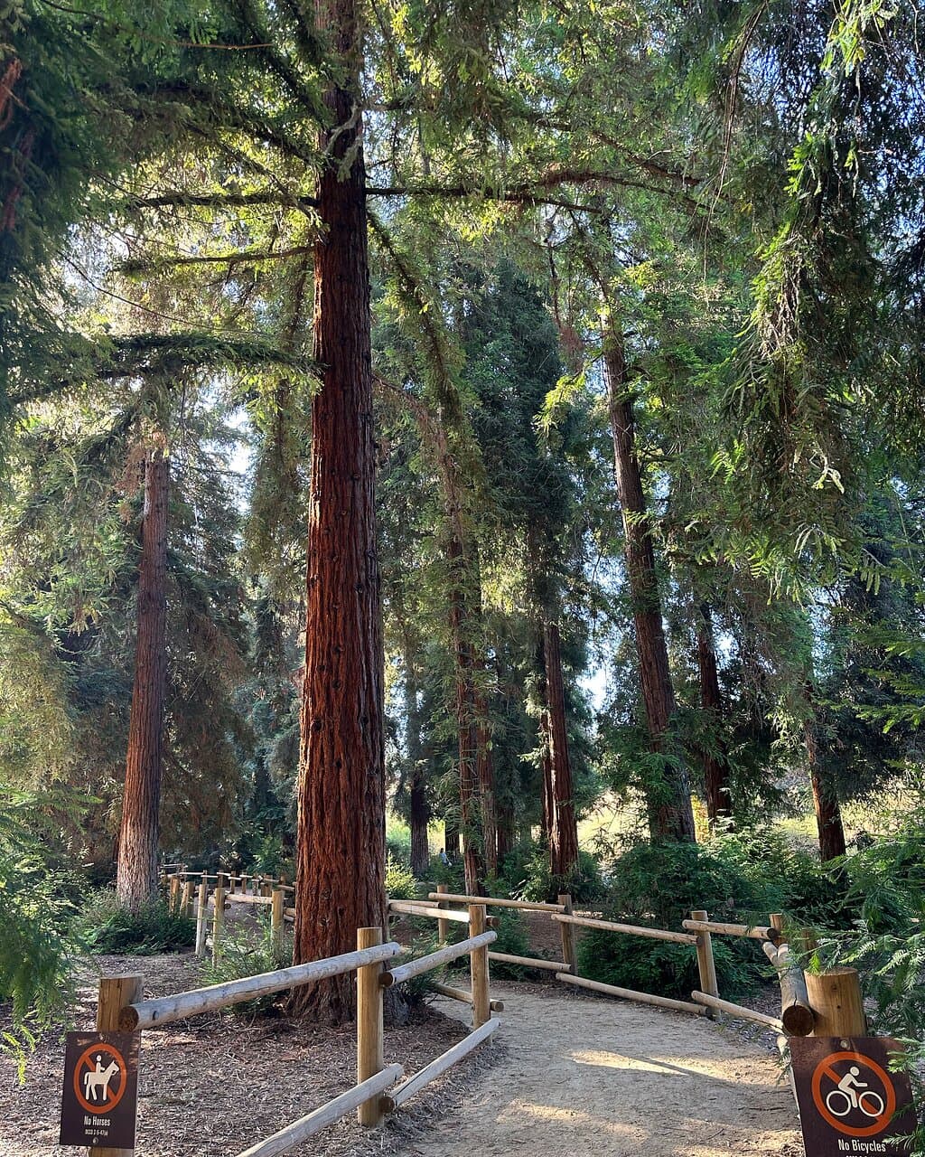 Carbon Canyon Regional Park