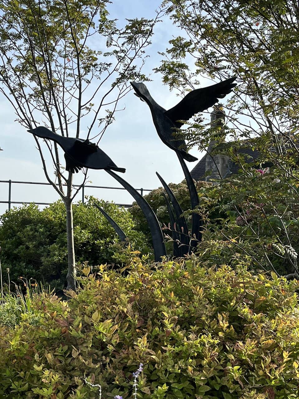 Vertical photo