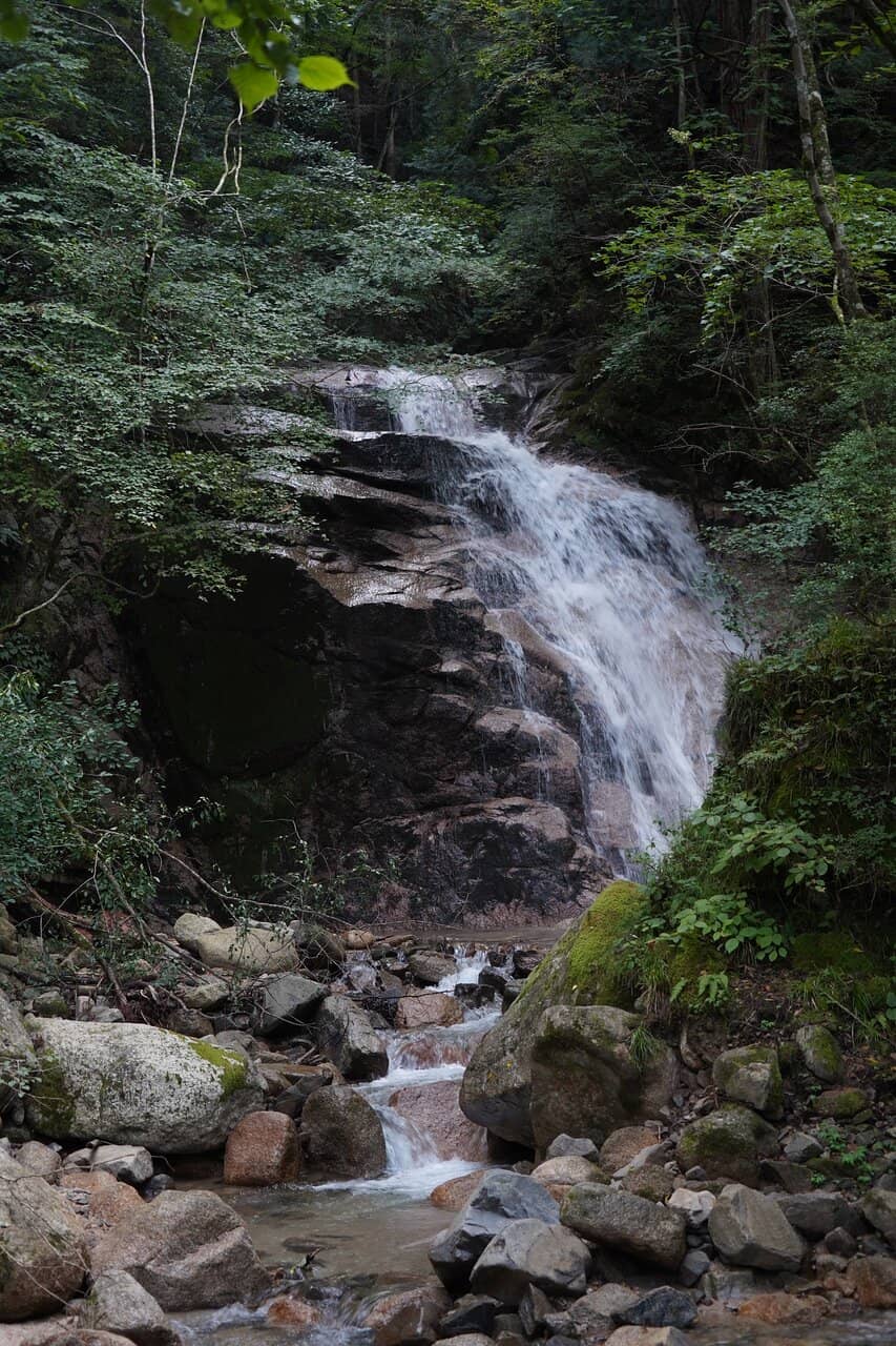 Medaki (Female Waterfall)