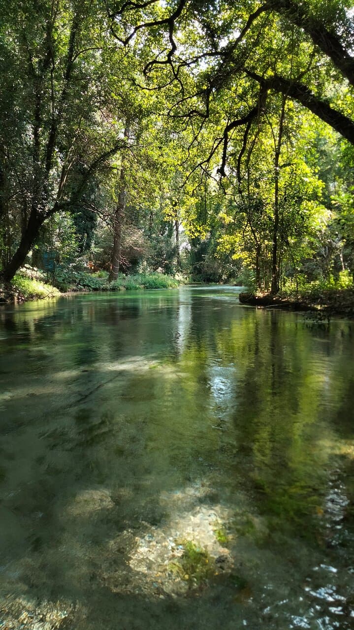 Terme Varroniane Park