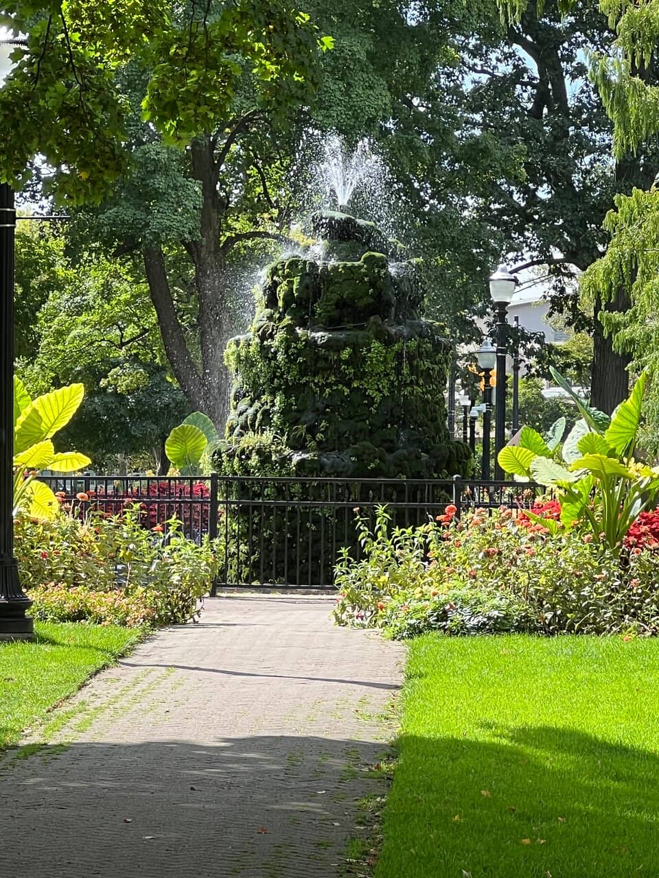 Wizard of Oz Wonderland