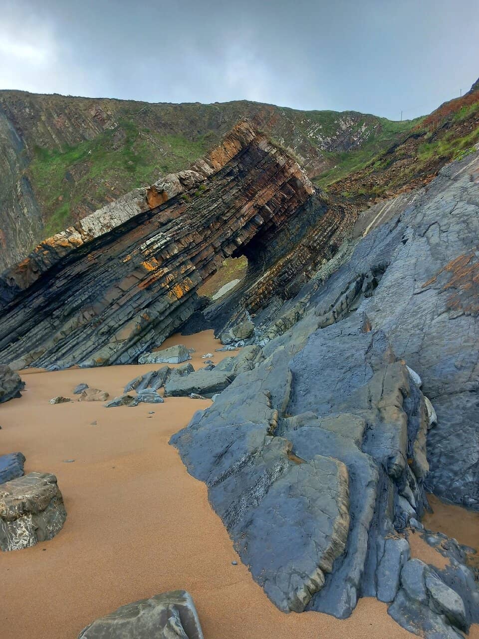 Vertical photo
