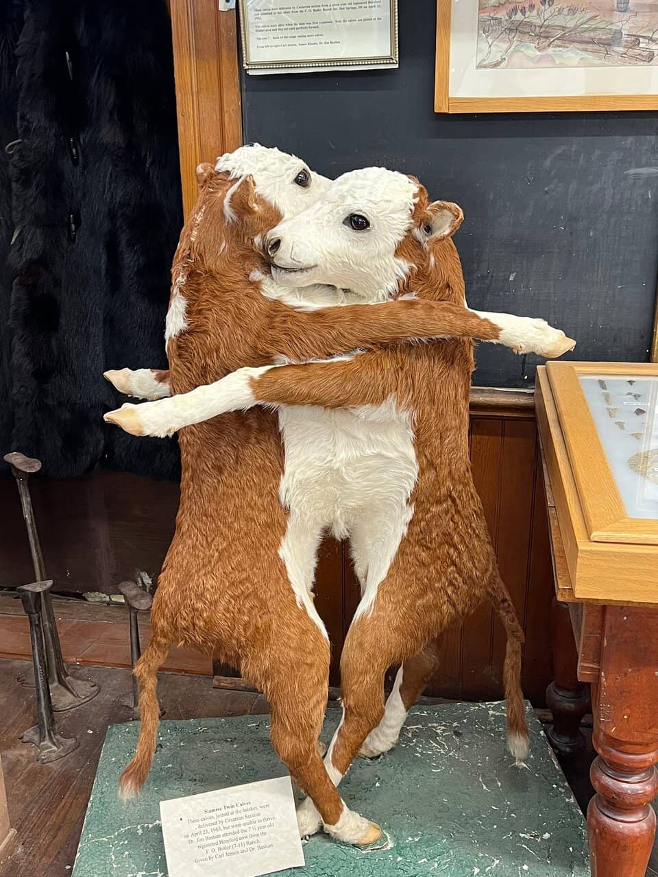 Historic Schoolhouse Setting