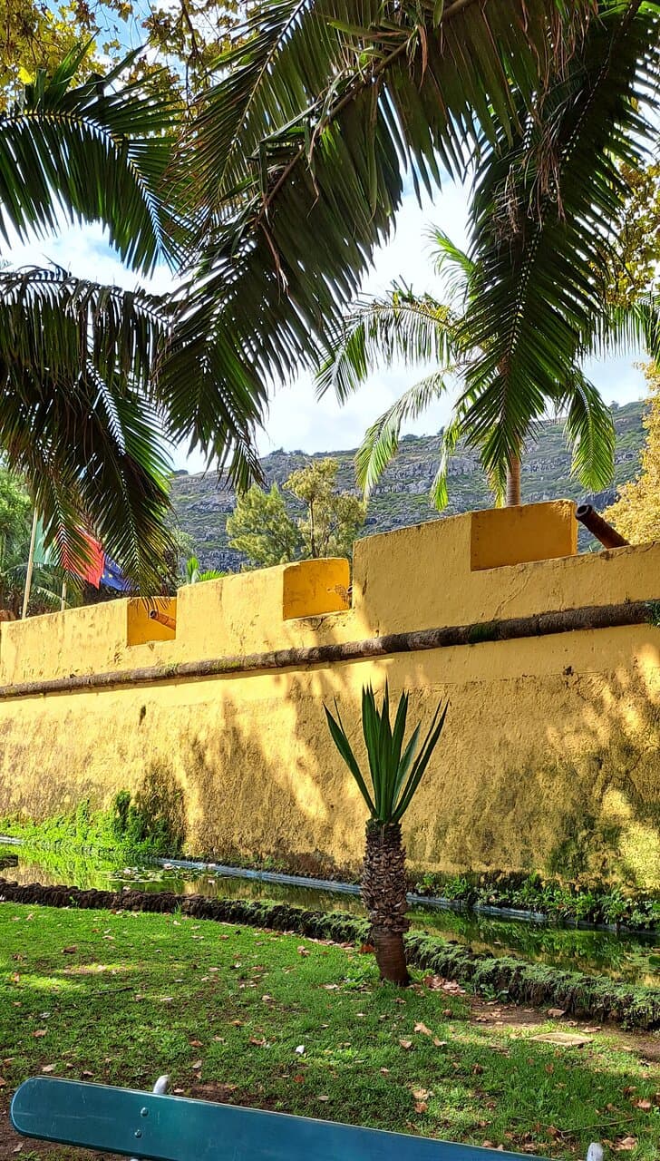 Crenellations and canons of the Forte