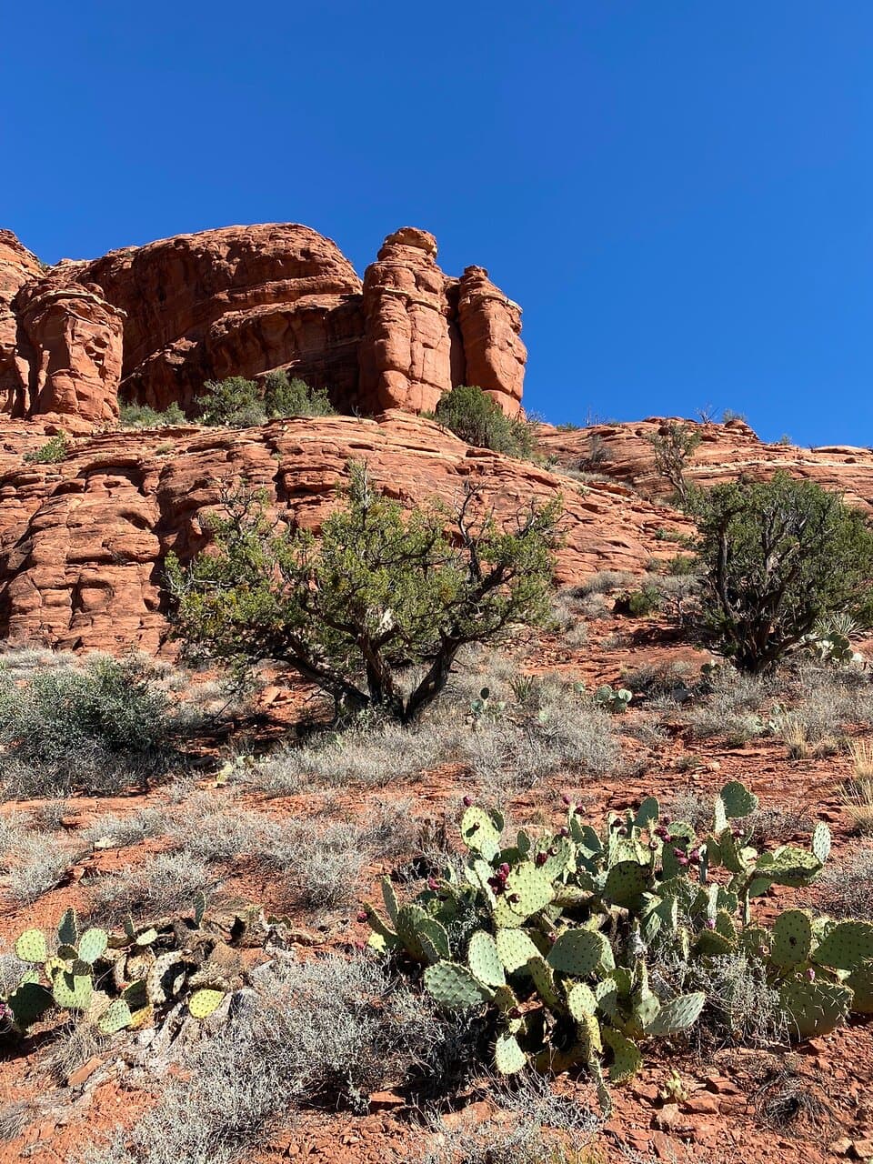Hunger Mountain Duxbury Trail