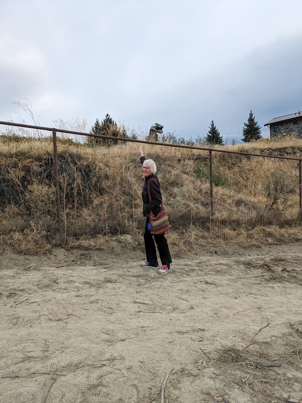 With my sister and I on Penticton’s KVR trail, we viewed Alice, the Stainless Steel T-Rex. Located on the Naramata Bench, this mirror-polished dinosaur is 35 feet tall and 50 feet long. Affectionately called Alice, she weighs 12,000 pounds and is situated on private property. Placed in a prominent area, she can been seen by hikers on the KVR trail. The landowner commissioned Kevin Stone to create this realistic sculpture. Two years in the making, she was carefully transported to her new home.