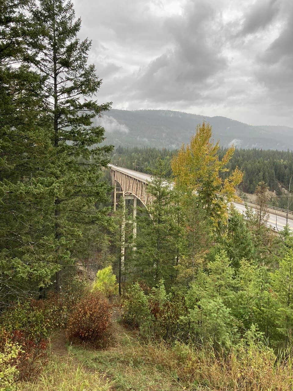 Salmon Fishing Spectacle