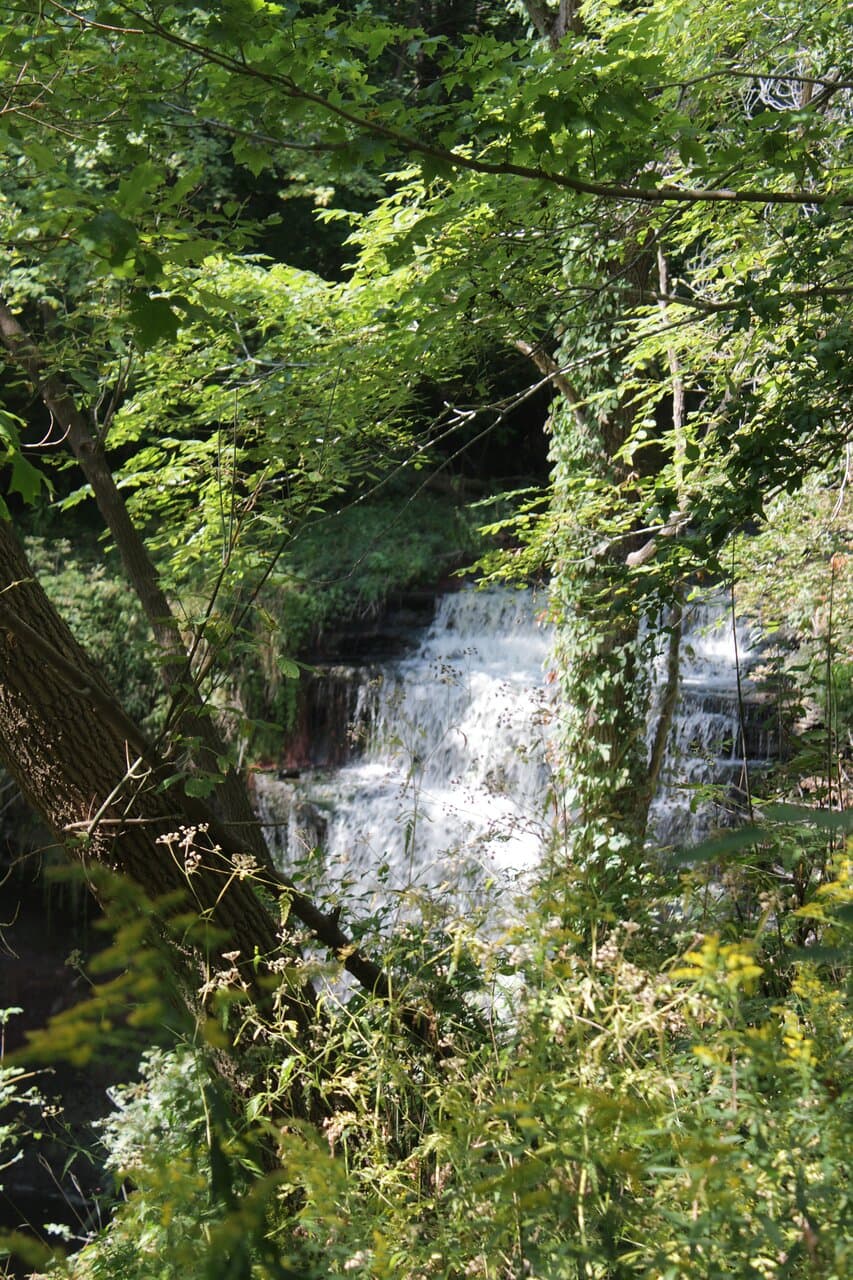 Waterfall from top of trail