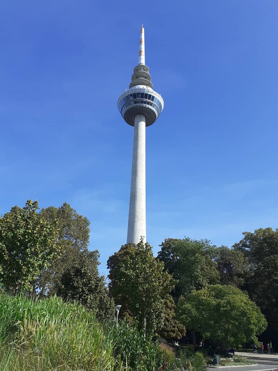 Vertical photo