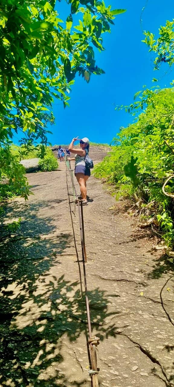 Oceanic Views of Rio