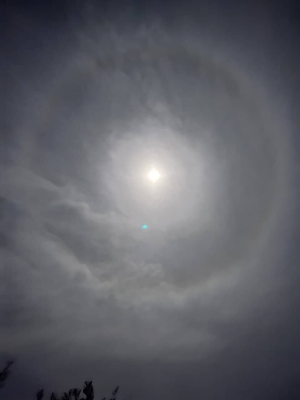 Vertical photo