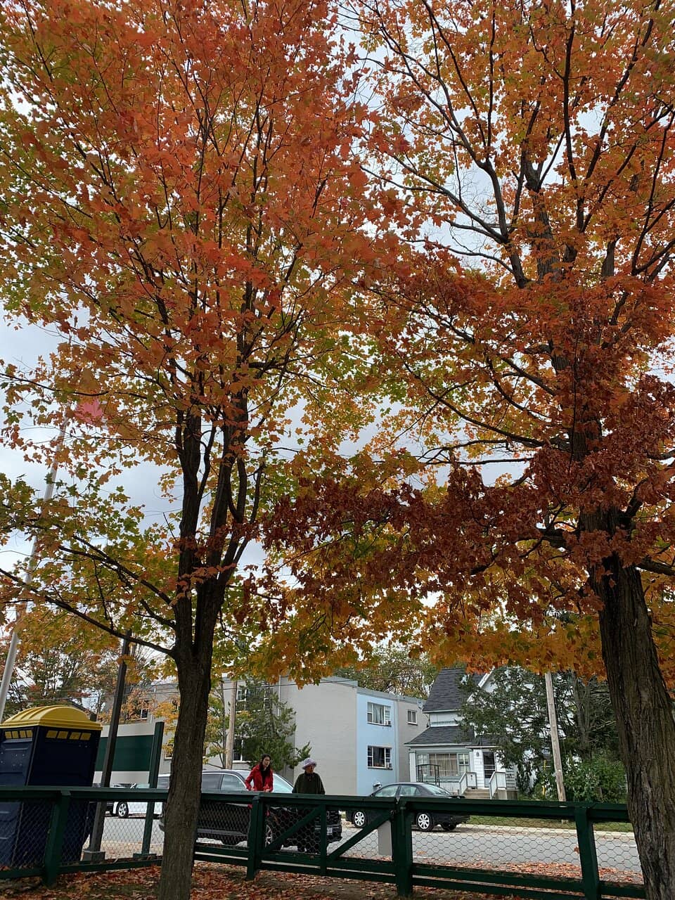 Global Impact Exhibits