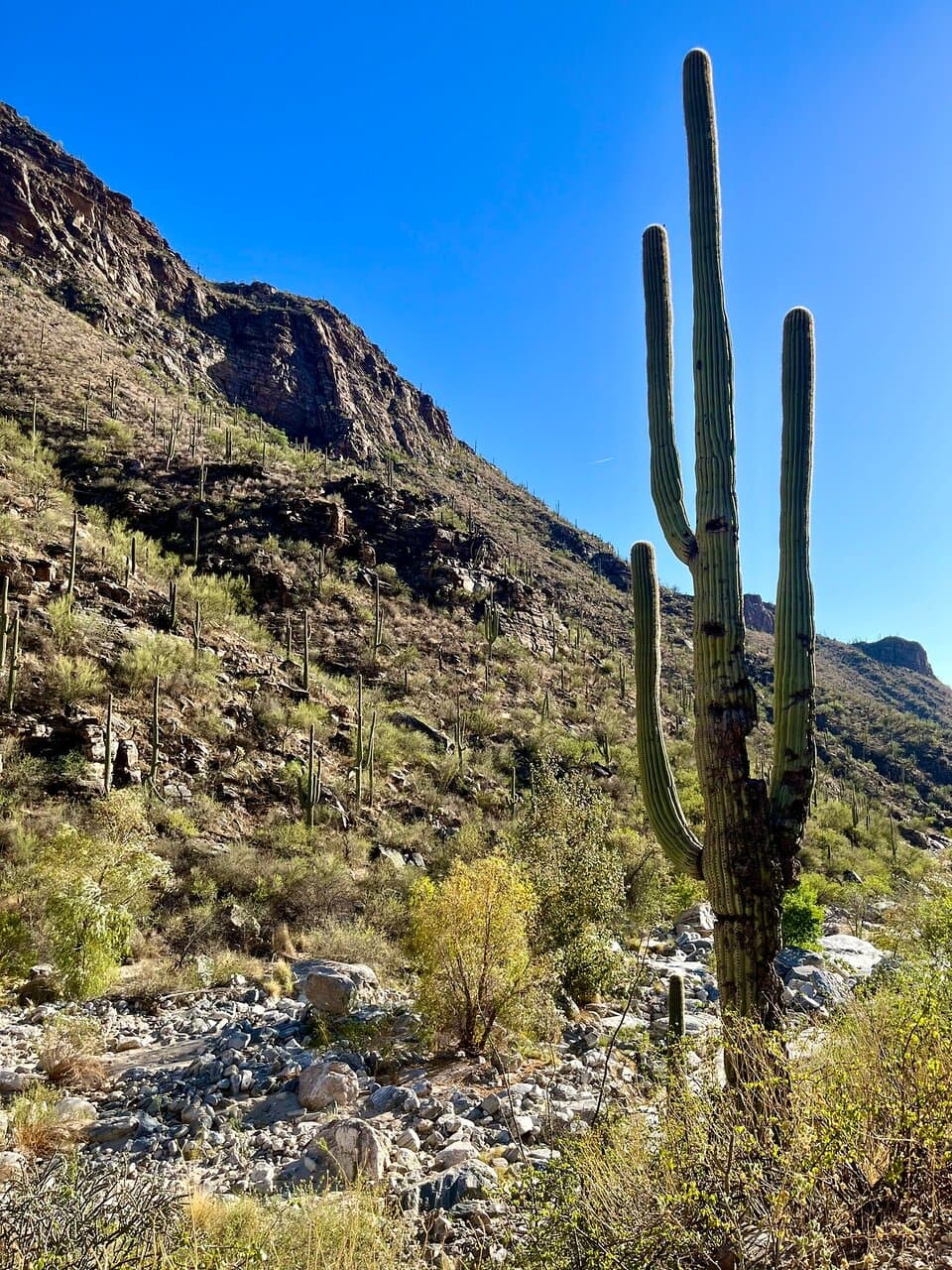 Seven Falls Trail September 2023