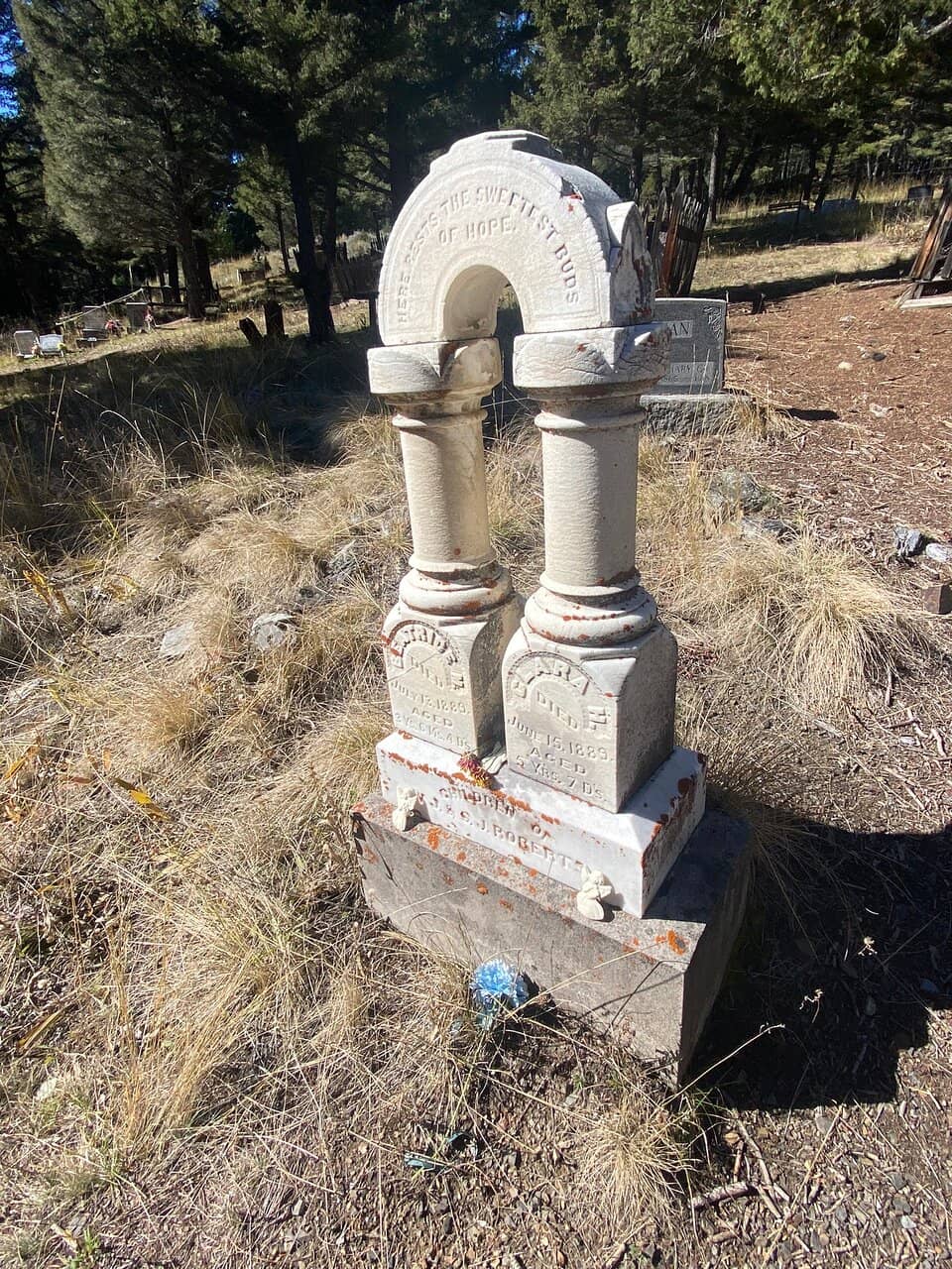 Scenic Mountain Drives