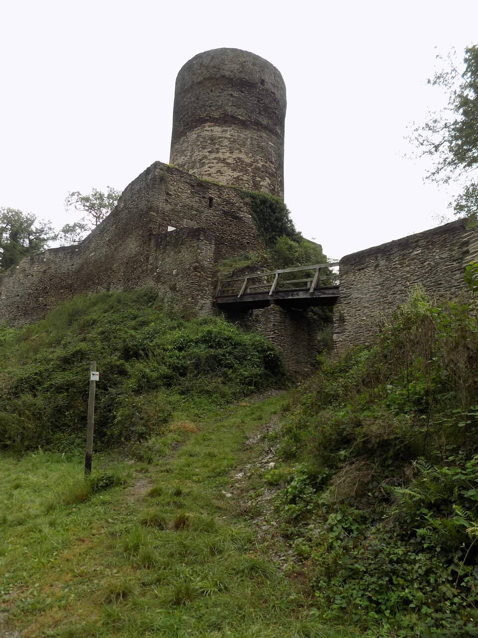 Vertical photo