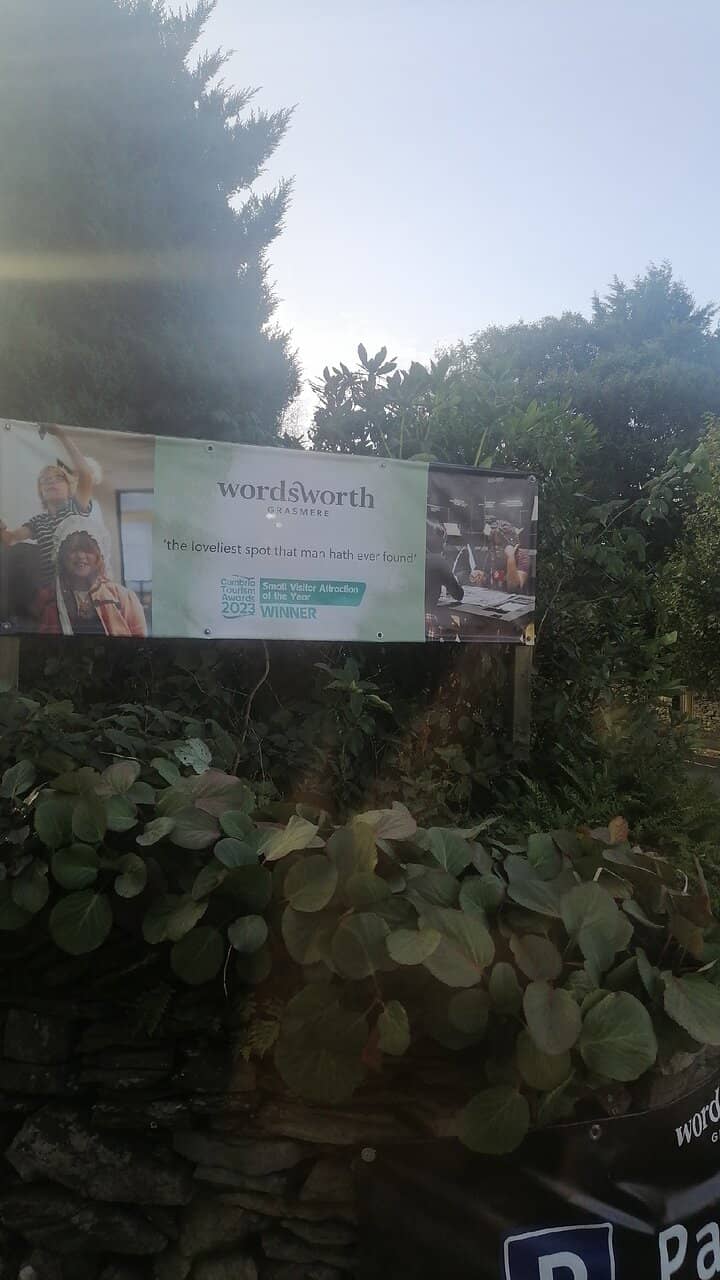 The Blooming Daffodils