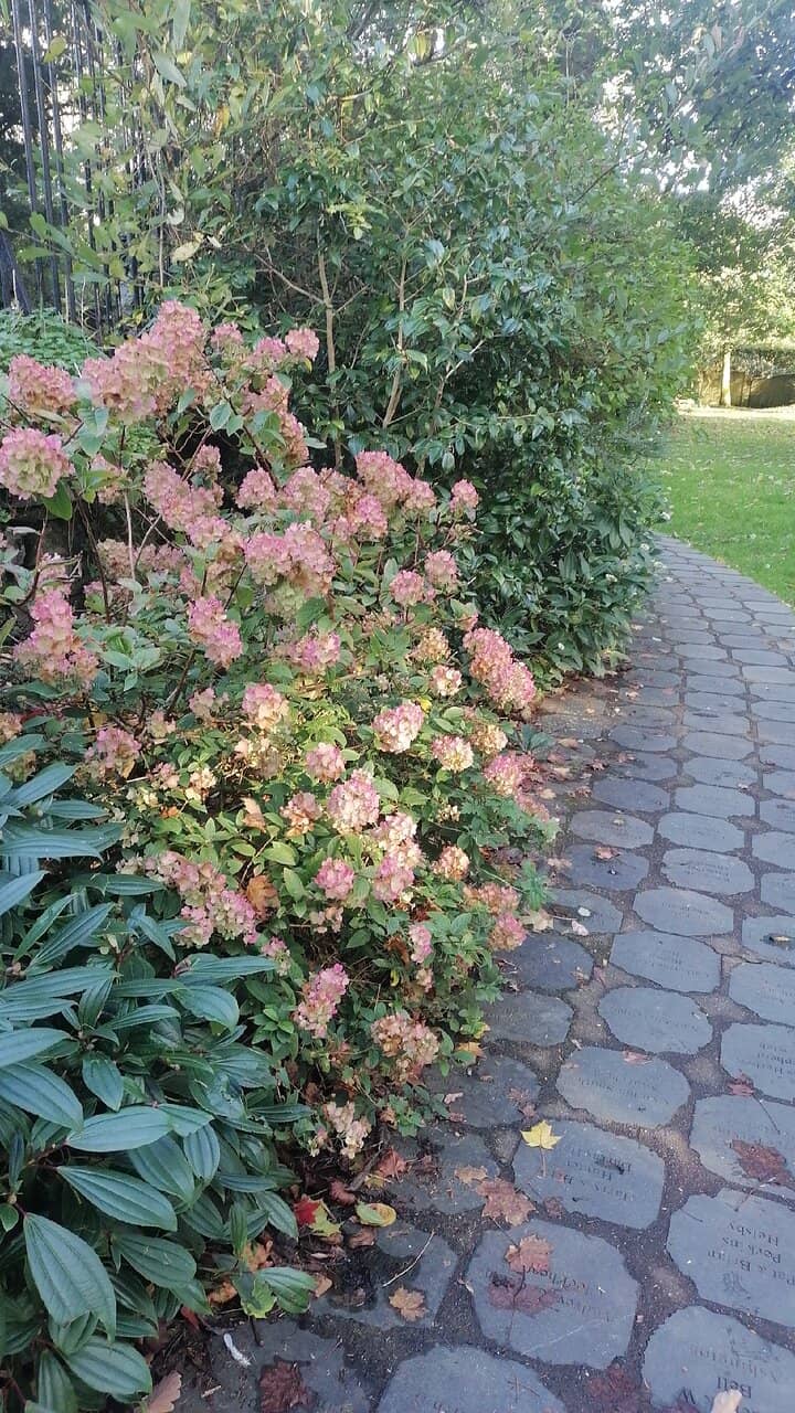 Engraved Donor Stones
