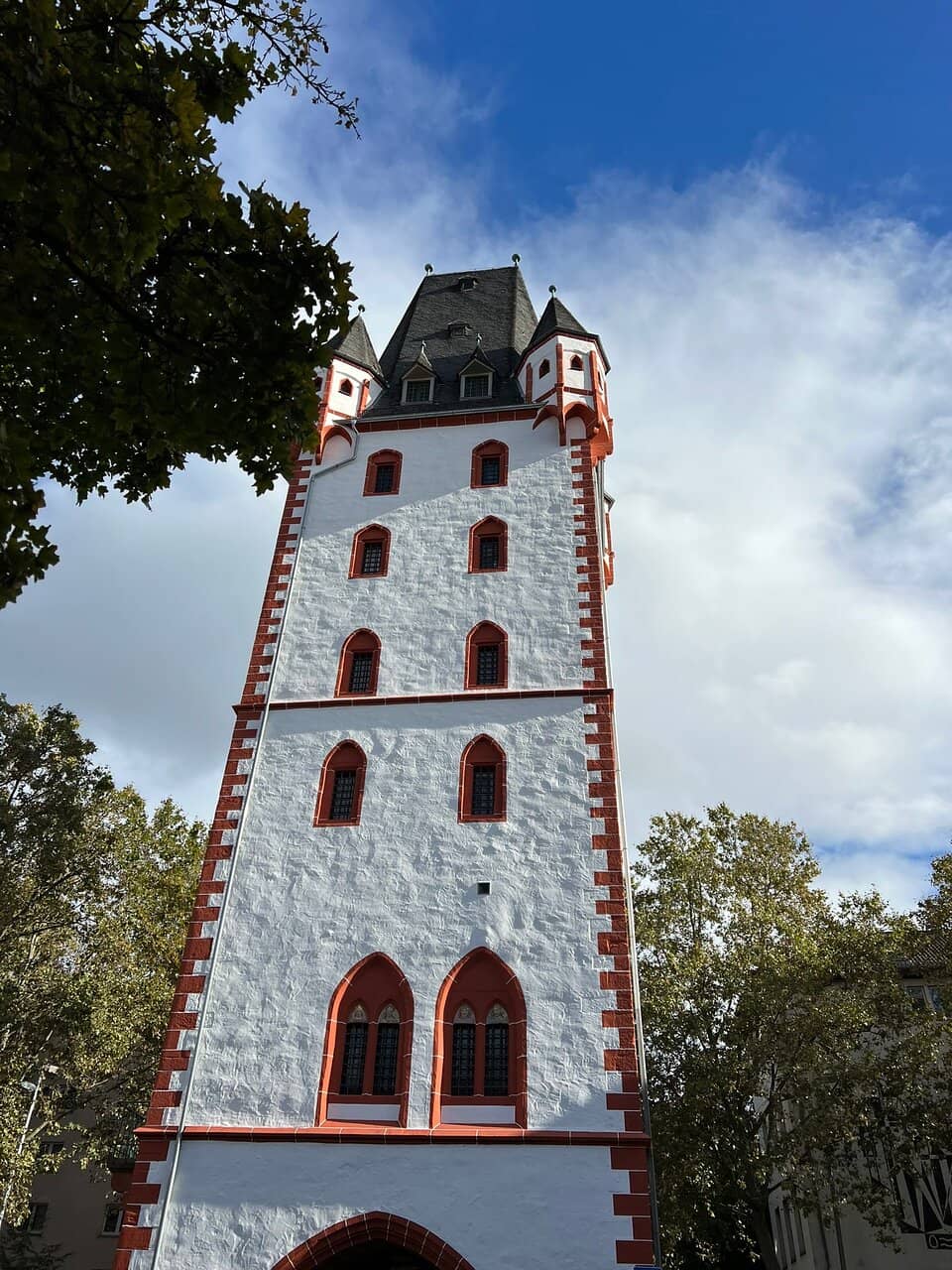 Vertical photo