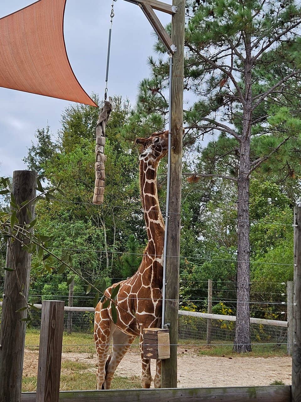 Vast Aquarium Experience