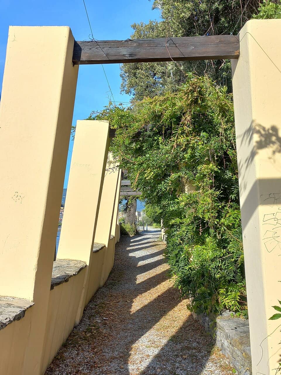 Vertical photo