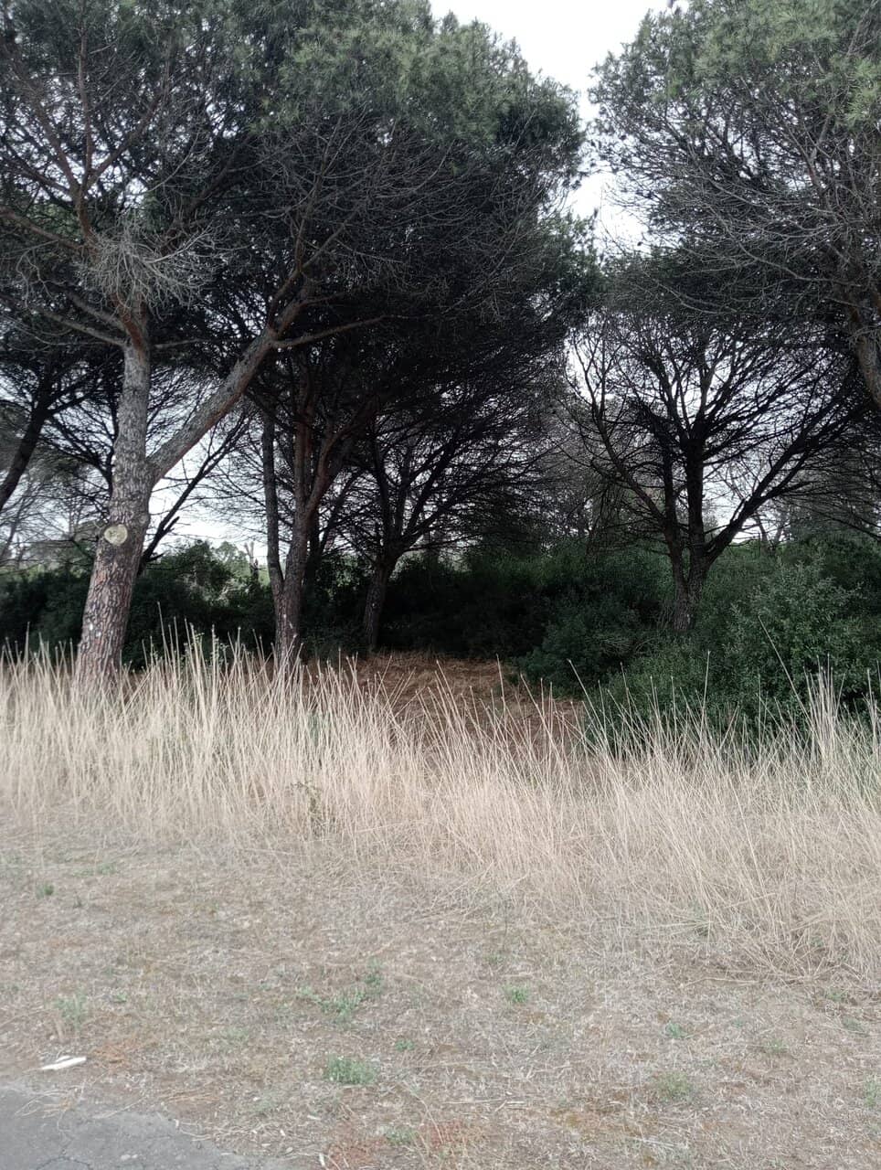 The 'Km' Path