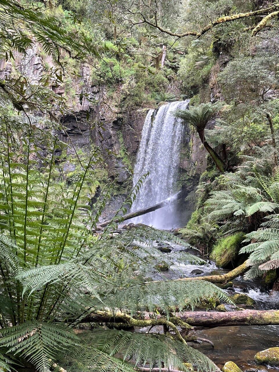 Upper Viewing Platform