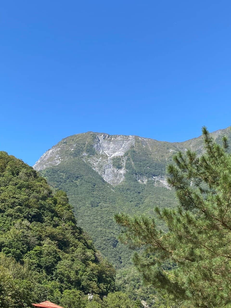 Vertical photo
