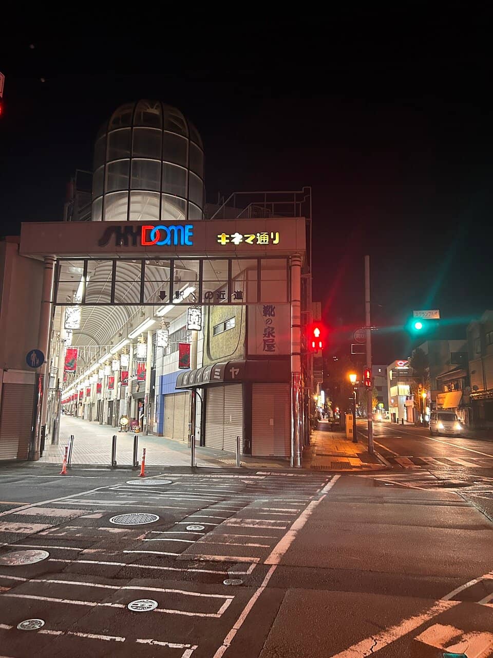 Capybara Onsen at Izu Shaboten Zoo
