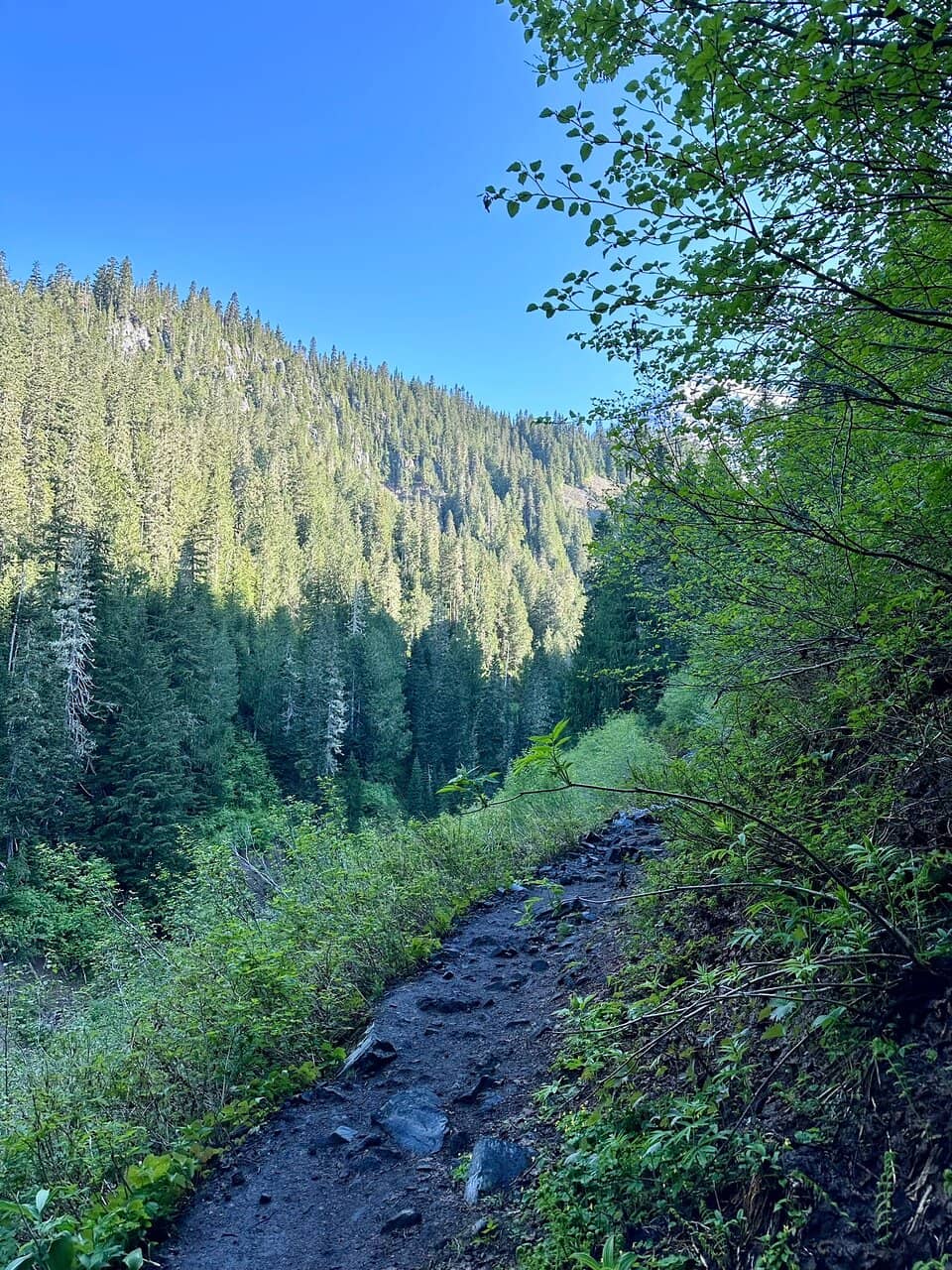 Van Trump Trail