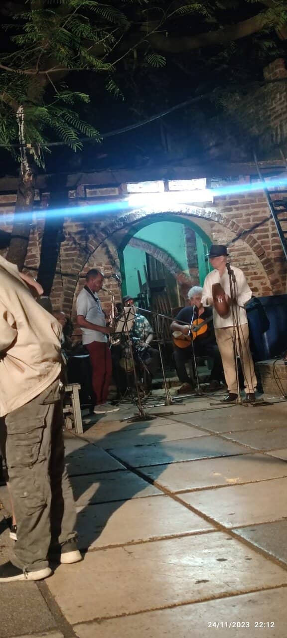 Live Performances & Shows