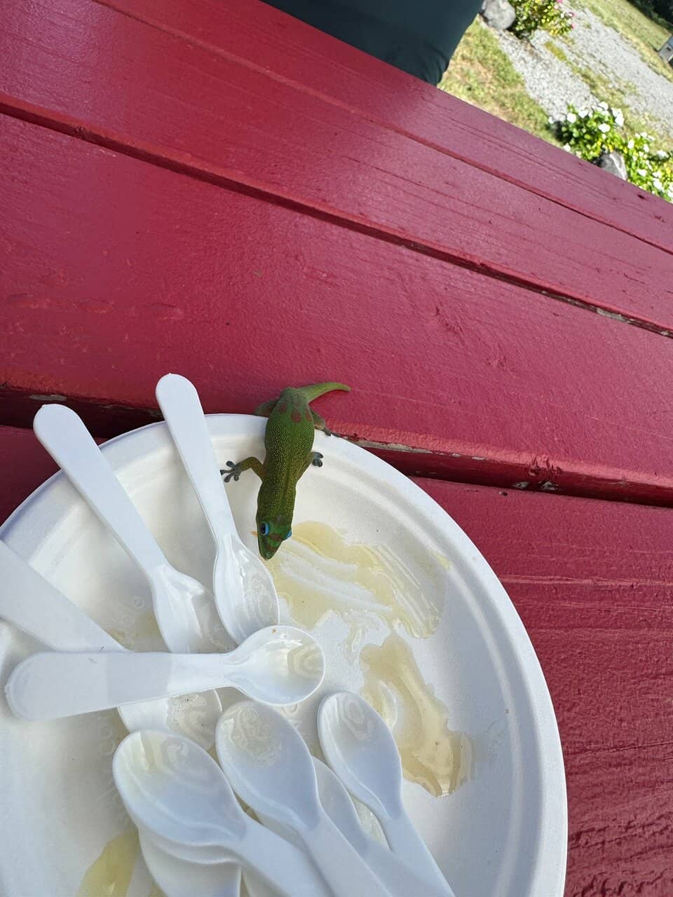 Interactive Beehive Tour