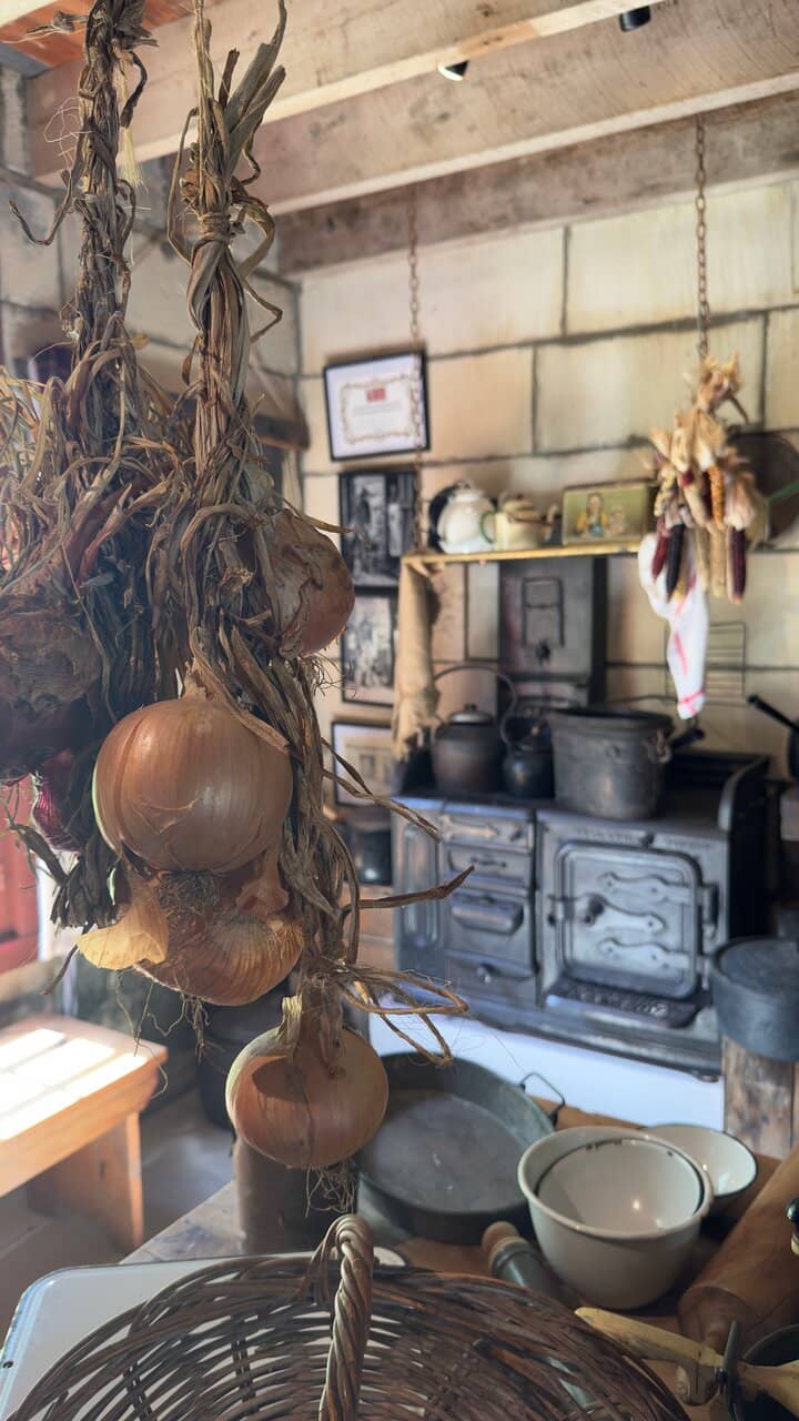 Sheep Breed Discovery