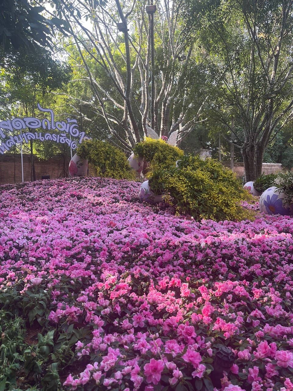 January Flower Festival