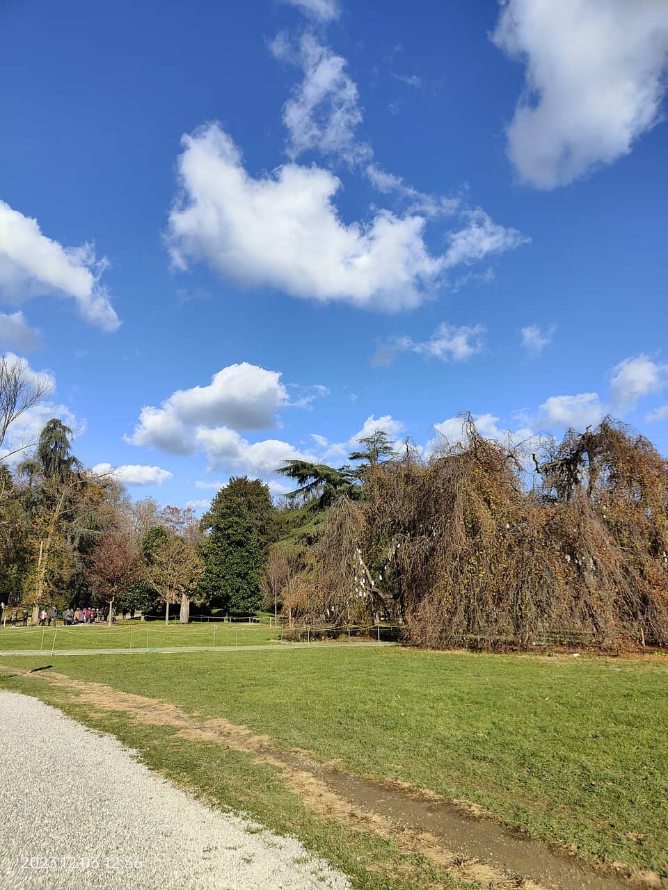 Monza Circuit Proximity